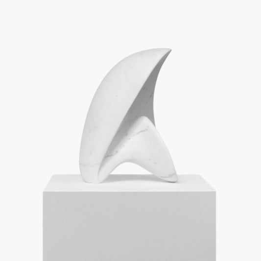 Conchiglia Futuristica