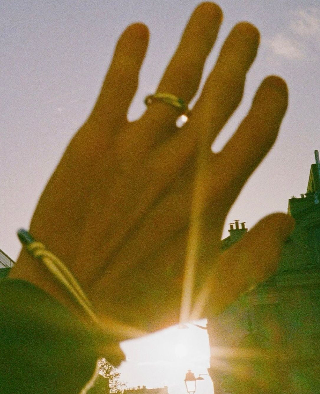 Le Jonc Ulysse matifié