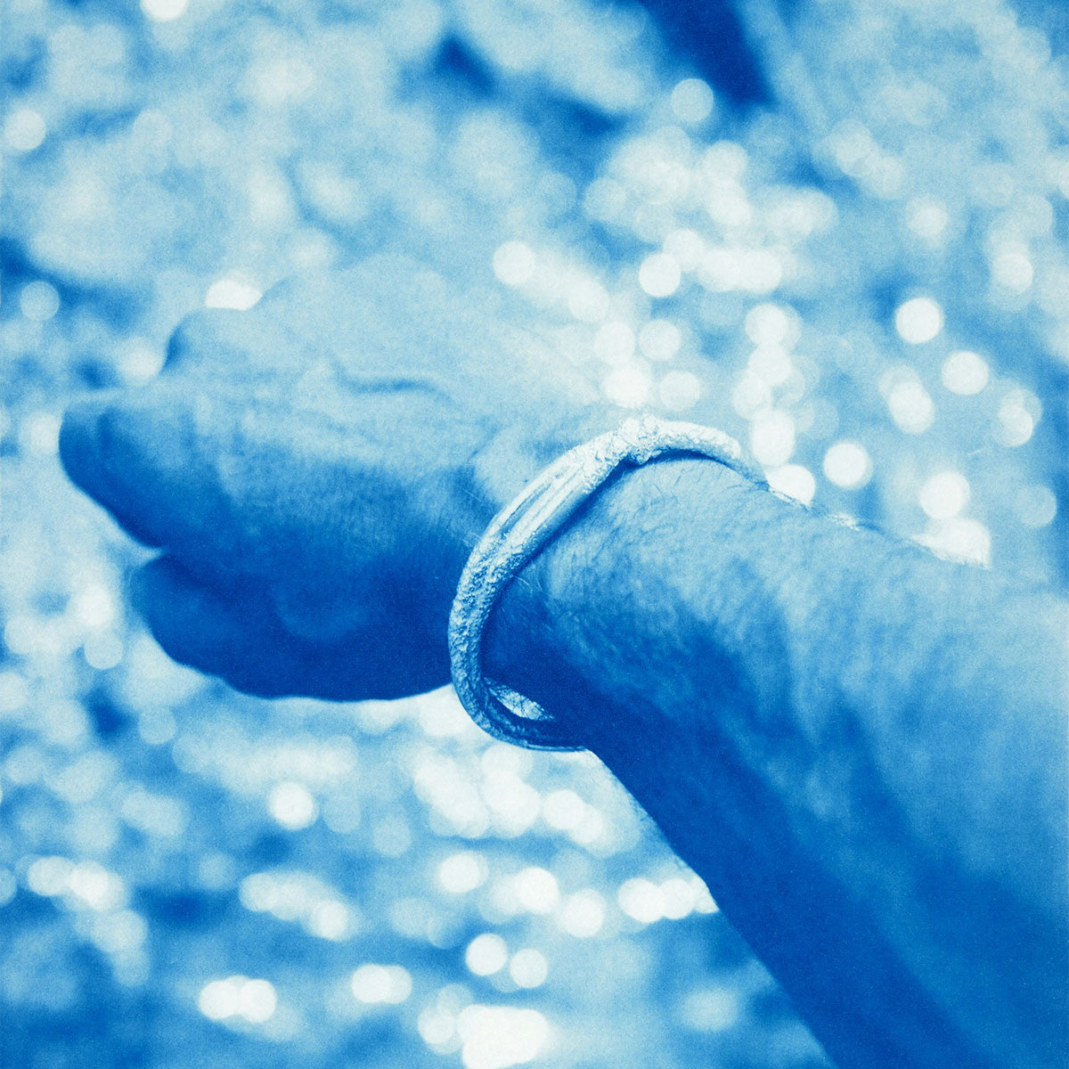 Le Jonc Ulysse dévoré