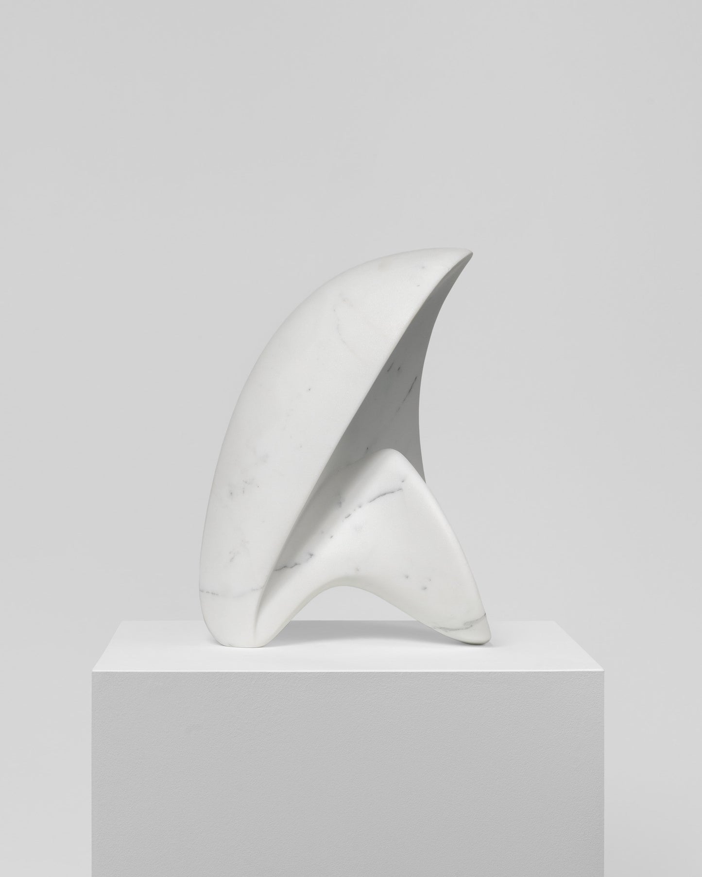 Conchiglia Futuristica