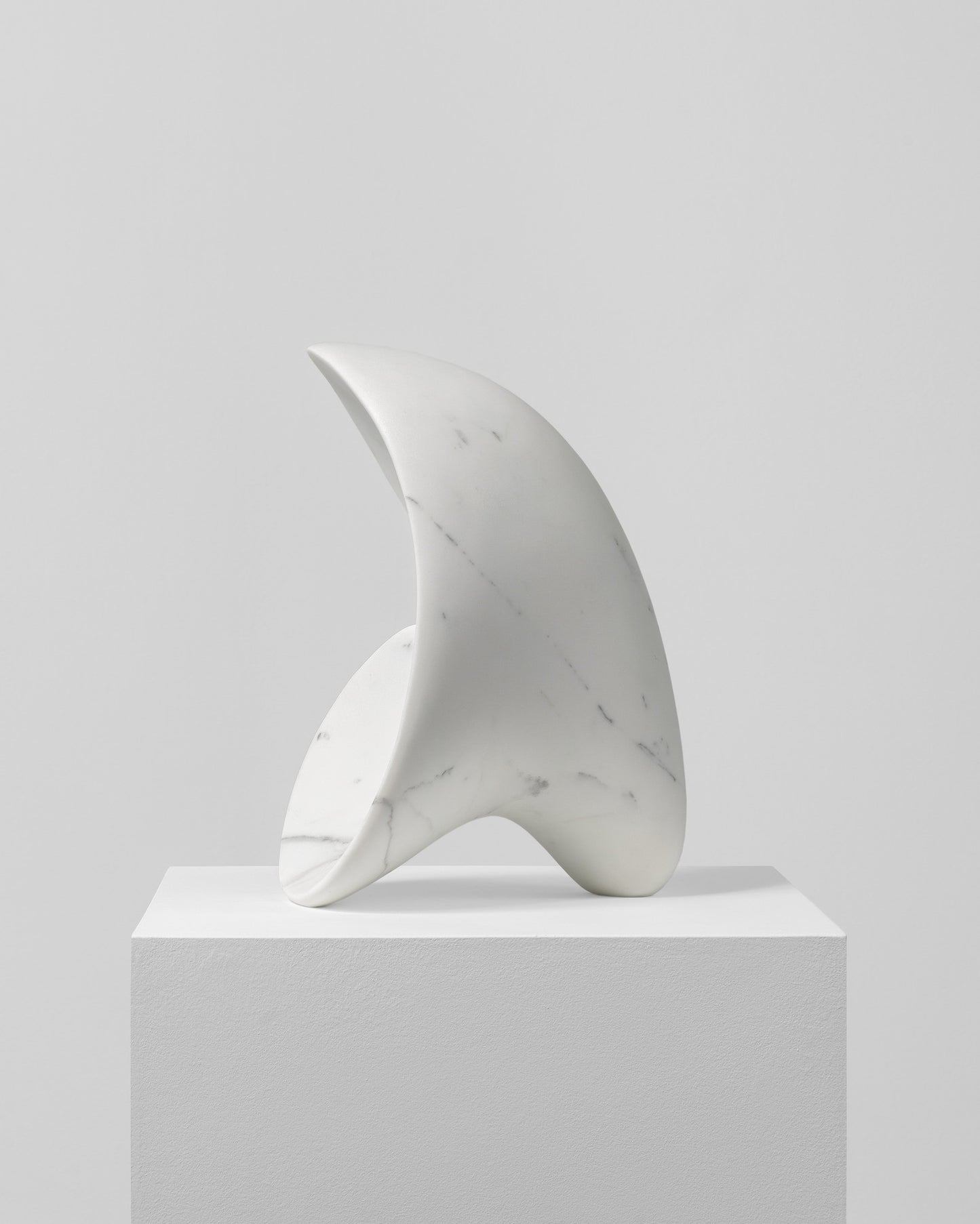 Conchiglia Futuristica