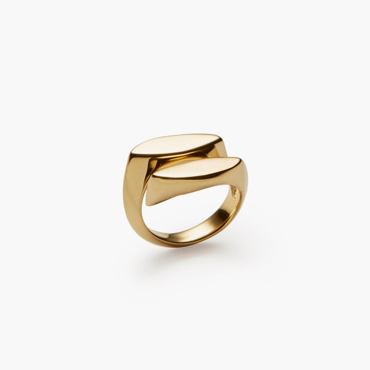 Bague Chevalière Déchainée