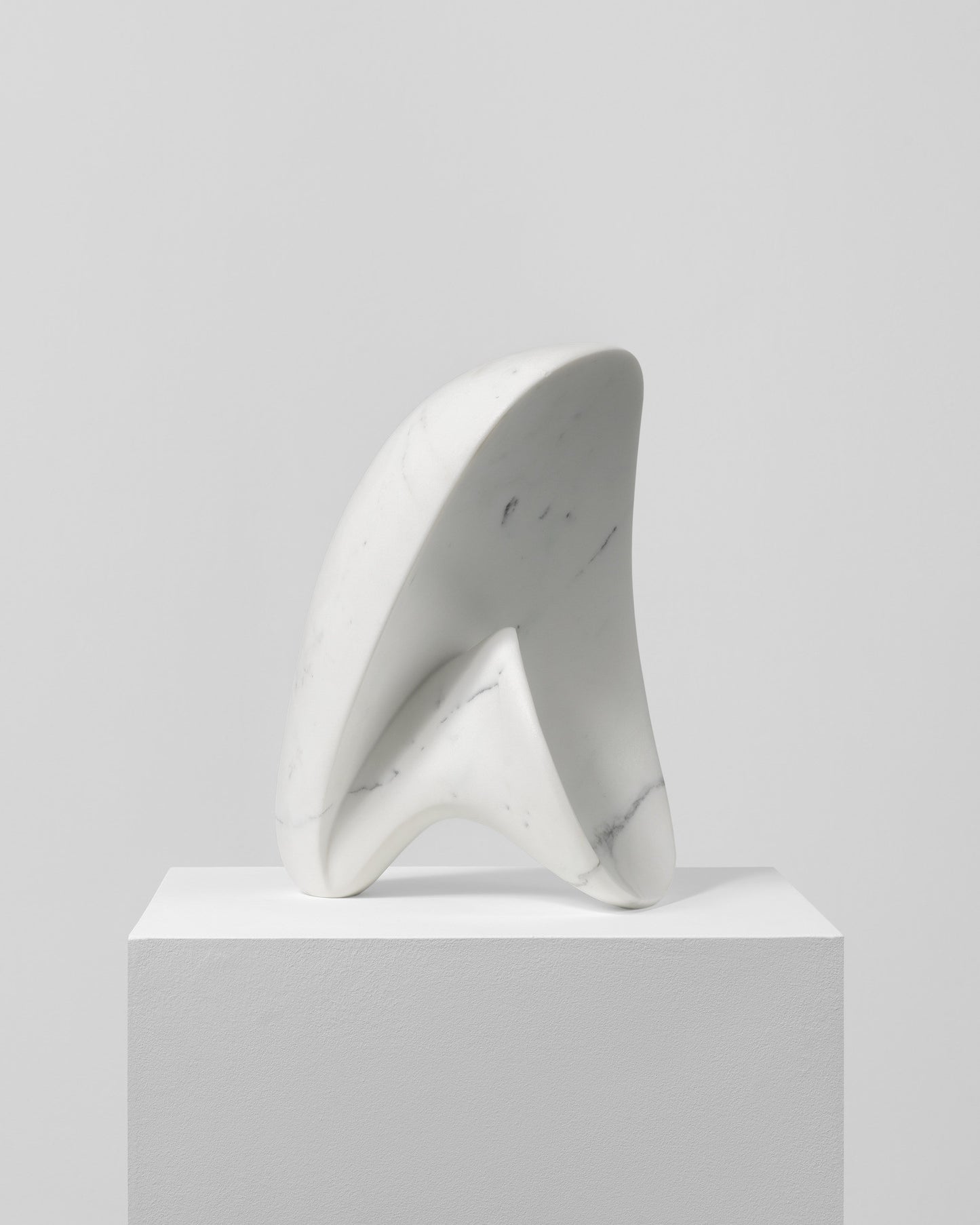 Conchiglia Futuristica
