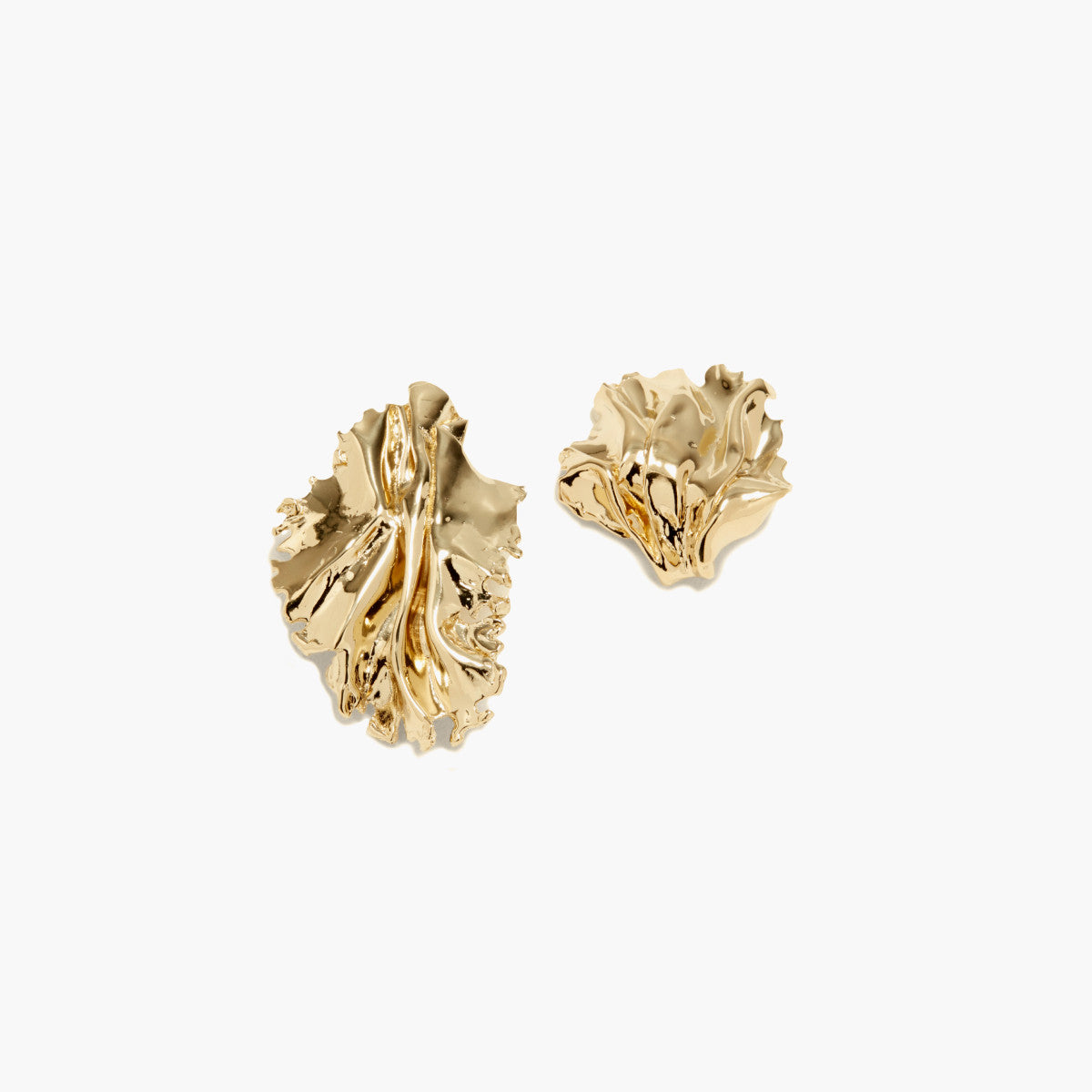Sea Leaves Clips